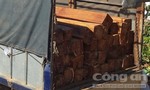 Bắt vụ vận chuyển gỗ căm xe lậu với khối lượng lớn