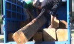 Bắt giữ một vụ vận chuyển hơn 5m3 gỗ lậu