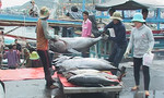 Nữ quái “bốc phét” buôn hải sản lừa cả họ nhà chồng hơn 5 tỷ đồng