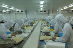 Mang sản phẩm thuỷ sản chất lượng cao của Việt Nam đến thế giới