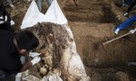 Malaysia tìm thấy 139 ngôi mộ tập thể chôn người di cư