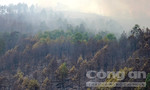 Hơn 1.600 người khống chế cháy rừng tại Thanh Hóa
