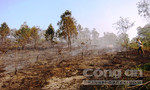 Liên tiếp xuất hiện các điểm cháy rừng ở Thanh Hoá