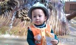 Cháu bé 3 tuổi mất tích “bí ẩn” trong vườn cà phê