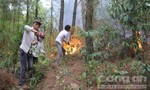 Cháy rừng thông ở hai huyện Nam Đàn và Hưng Nguyên