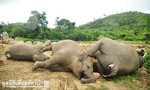 Ba con voi bị điện giật chết