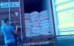 Phát hiện 30 tấn đường nhập lậu trong thùng xe container
