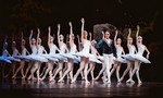 Vở ballet huyền thoại Hồ Thiên Nga sẽ được tái hiện hoàn hảo ngay tại Việt Nam