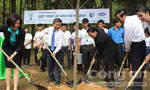Trồng hơn 5.000 cây xanh tri ân các anh hùng liệt sỹ tại ngã ba Đồng Lộc
