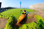 Thuyền lướt trên tảo xanh ở Trung Quốc