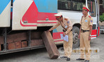 Quảng Bình:  Bắt xe khách chở gần 3 khối gỗ lậu