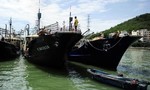 9000 tàu cá Trung Quốc ồ ạt tràn xuống Biển Đông