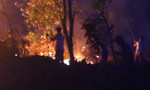 Rừng thông bốc cháy dữ dội, hơn 500 người tham gia dập lửa