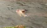 Gia Lai: Nghi án đánh 3 người thương vong, vứt người chết xuống suối