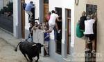 12 người thiệt mạng trong lễ hội bò rượt ở Tây Ban Nha