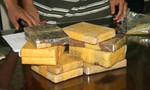 Bắt 9 đối tượng buôn bán ma túy trên 'vùng đất nóng' Mộc Châu