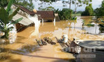 Thanh Hóa: 2 người chết, thiệt hại 198 tỉ đồng do mưa lũ