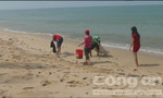 Video: Người dân Phú Quốc bất ngờ nhặt được 'vàng' dạt vào bờ biển