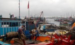 Ngư dân Quảng Nam ra khơi đánh bắt hải sản đầu năm ở Hoàng Sa, Trường Sa