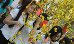 'Đường hoa mùa xuân' của sinh viên Đồng Nai