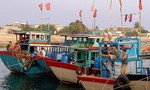 455 tàu cá ngư dân Quảng Ngãi vẫn còn ở ngoài biển