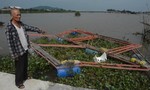 Hà Tĩnh: Lũ cuốn sạch làng cá lồng bè khiến dân khốn đốn