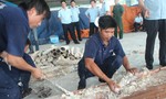 Lại phát hiện ngà voi được nhập lậu về cảng Cát Lái