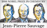 Nobel hóa học vinh danh các nhà khoa học thiết kế các cỗ máy nano