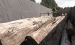 Bắt xe tải chở hơn 7m3 gỗ không rõ nguồn gốc