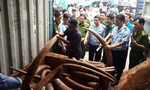 Hơn 2 tấn ngà voi cất giấu tinh vi trong các khối gỗ tuồn về Việt Nam