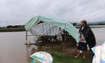 Thủy điện xả lũ cùng mưa lớn khiến hàng trăm héc ta cây trồng ngập lụt