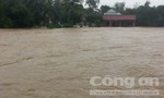 Chủ tịch tỉnh Bình Định gửi thư kêu gọi ủng hộ người dân bị lũ lụt