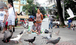 'Bảo kê' cả chim trời giữa lòng Sài Gòn
