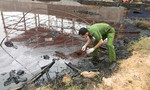 Công ty sản xuất gạch men xả thải ra sông Thị Vải