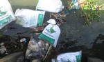 Hàng trăm bao tải bỏ xác vịt chết trôi trên sông Đà Rằng