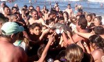 Cá heo con chết ngay sát biển vì bị người dân đem ra làm vật chụp ảnh ‘tự sướng’