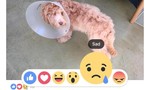 Người dùng Facebook thích thú với các biểu tượng cảm xúc mới