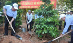 TP.HCM trồng 10 ngàn mét vuông cây xanh nhớ ơn Bác