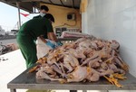 Phát hiện 200kg gà đang phân huỷ nặng