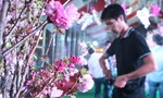 Hàng ngàn người dân đổ về Đồng Nai tham gia lễ hội hoa anh đào 2016