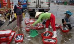 Lãnh đạo thành phố Đà Nẵng chỉ đạo khẩn tiêu thụ hải sản sạch