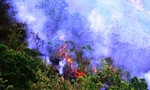 Cháy hơn 10 ha keo rừng ở Quảng Ngãi