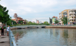 Cá chết trên kênh Nhiêu Lộc - Thị Nghè cơ bản được vớt hết
