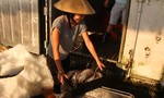 Cảng cá Nhật Lệ, chợ cá Đồng Hới: Mặt hàng cá bắt đầu được tiêu thụ