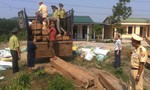 CSGT phát hiện 6 mét khối gỗ lậu được ngụy trang trên xe tải