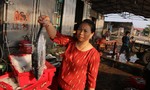 Ngân hàng BIDV hỗ trợ doanh nghiệp, hộ gia đình ảnh hưởng tình trạng hải sản chết hàng loạt
