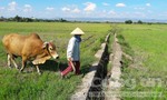 Công an tỉnh Gia Lai vào cuộc vụ kê khống công trình tiền tỷ bắt dân đóng từng ký lúa