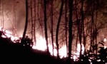 Huy động hàng trăm người dập lửa cháy rừng trong đêm