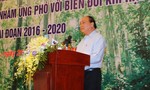Hội nghị tìm giải pháp khôi phục bền vững rừng vùng Tây Nguyên