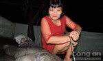 Bắt được cá lăng “khủng” nặng 50kg trên sông Sêrê Pốk